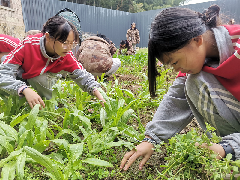 问题青少年改造全封闭式特训学校