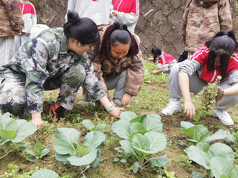 专治少年叛逆网瘾戒除正规素质教育学校