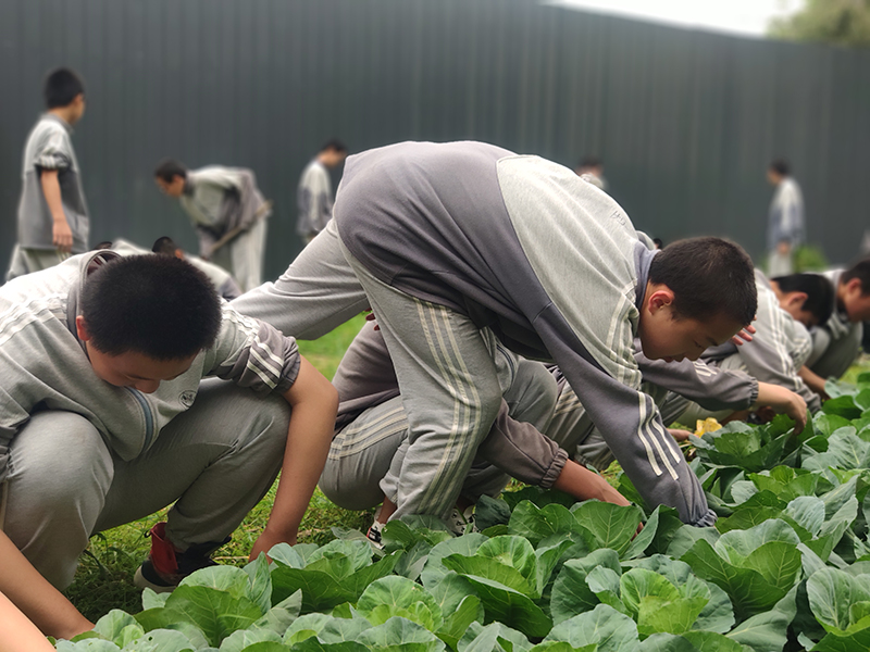 孩子叛逆不听话厌学逃课封闭式教育学校