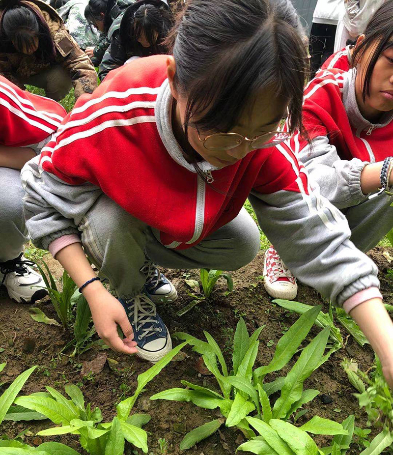 承德早恋厌学的叛逆小孩素质教育学校
