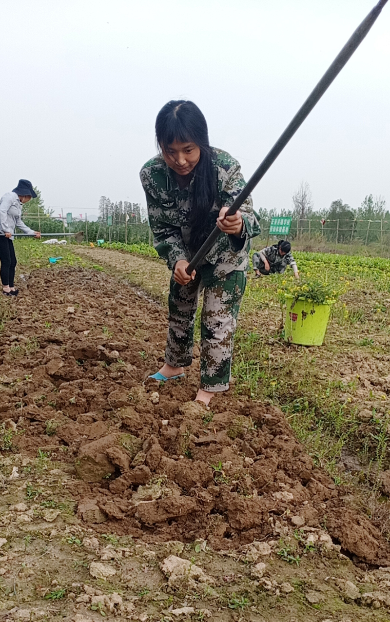 正规教育叛逆小孩网瘾早恋的特训学校