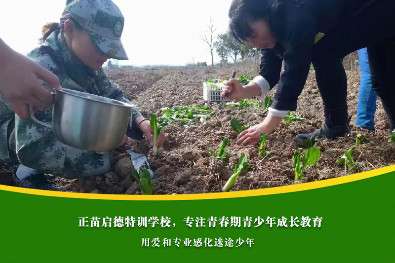 荆门孩子叛逆学校