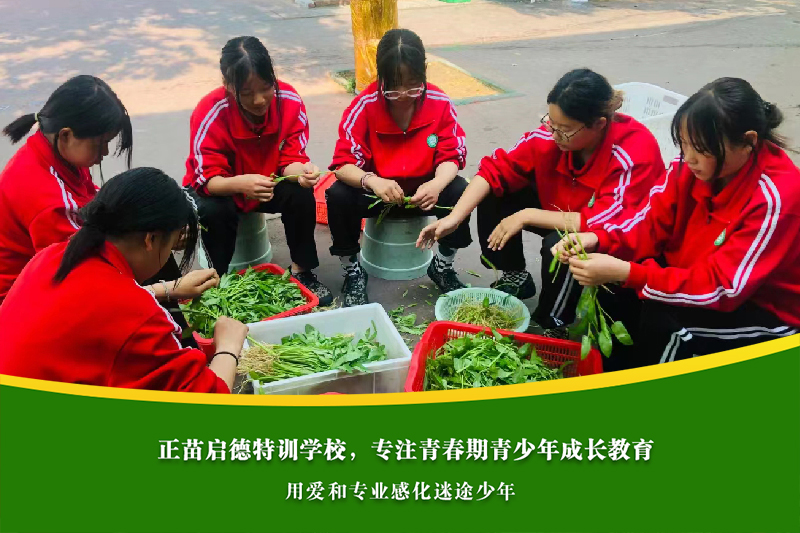 襄阳叛逆孩子特训学校