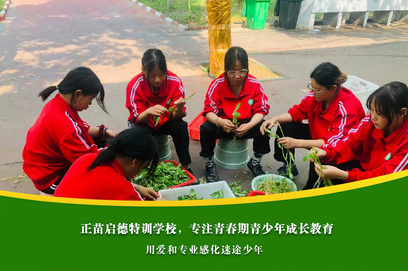 衢州叛逆小孩学校