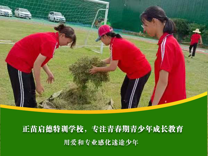 攀枝花军事化学校