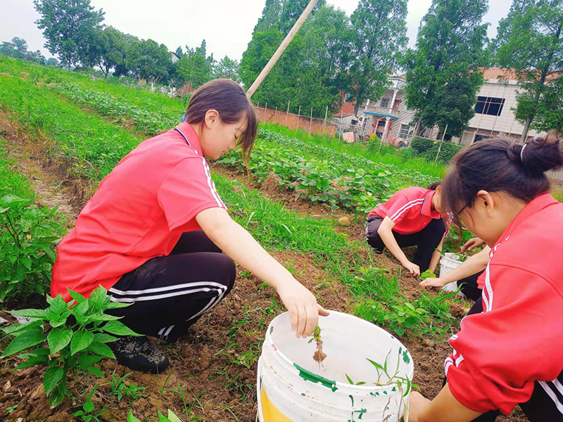 南京军事化学校