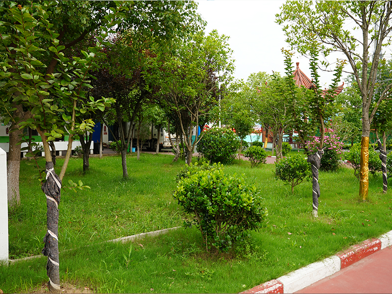 清远叛逆学生学校