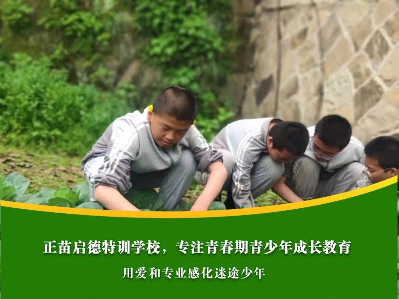 怀化叛逆孩子管教学校