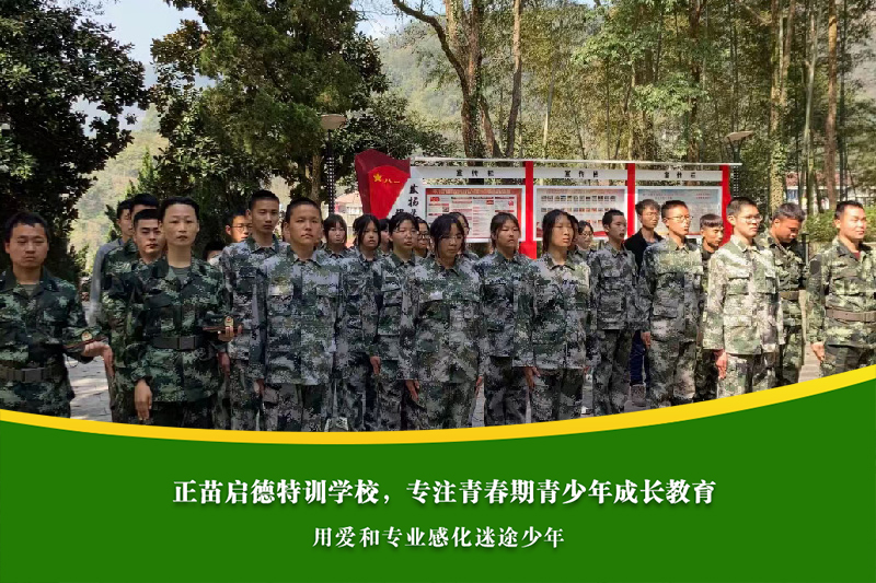 开展学雷锋相关主题活动